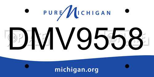 DMV9558 Michigan License Plate