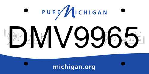 DMV9965 Michigan License Plate