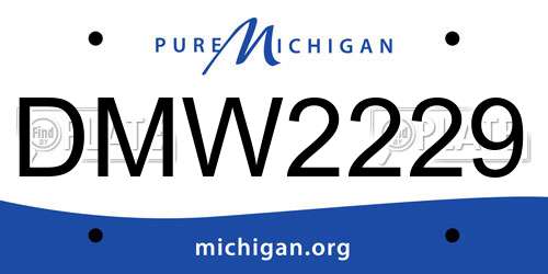 DMW2229 Michigan License Plate