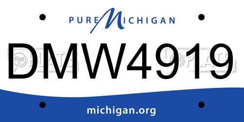 DMW4919 Michigan License Plate