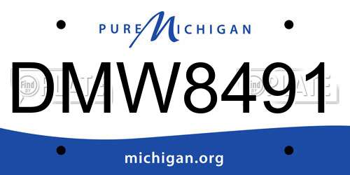 DMW8491 Michigan License Plate