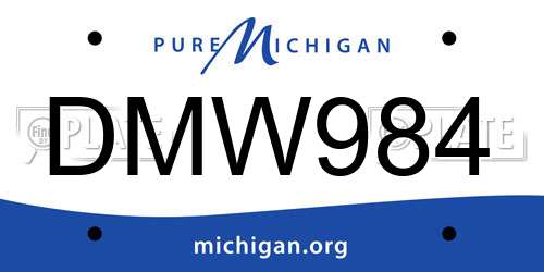DMW984 Michigan License Plate