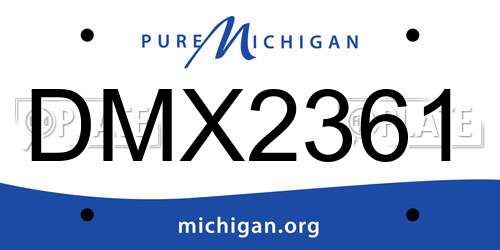 DMX2361 Michigan License Plate