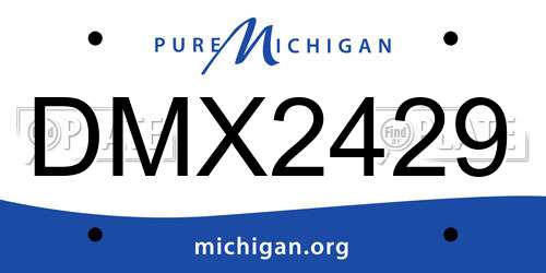 DMX2429 Michigan License Plate