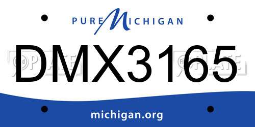 DMX3165 Michigan License Plate
