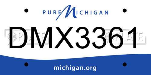 DMX3361 Michigan License Plate