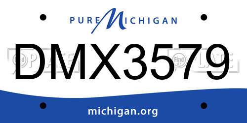 DMX3579 Michigan License Plate