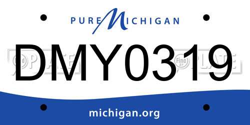 DMY0319 Michigan License Plate