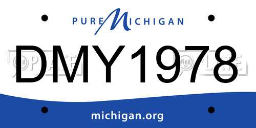 DMY1978 Michigan License Plate