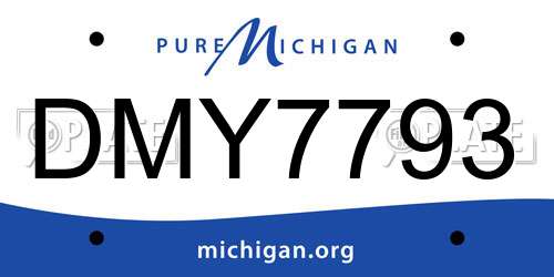 DMY7793 Michigan License Plate