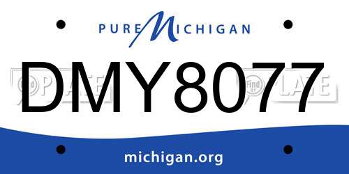 DMY8077 Michigan License Plate