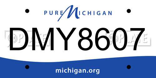 DMY8607 Michigan License Plate