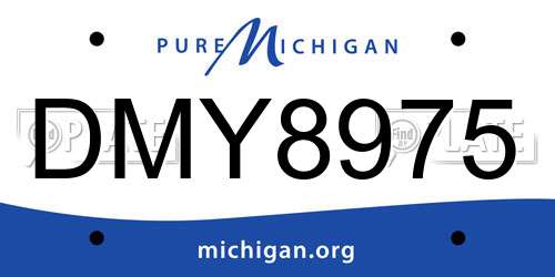 DMY8975 Michigan License Plate