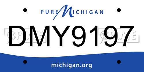 DMY9197 Michigan License Plate