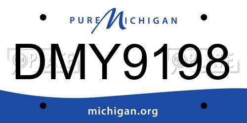 DMY9198 Michigan License Plate