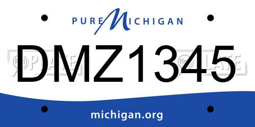 DMZ1345 Michigan License Plate