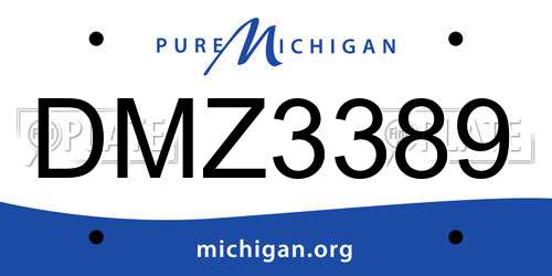 DMZ3389 Michigan License Plate
