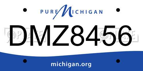 DMZ8456 Michigan License Plate