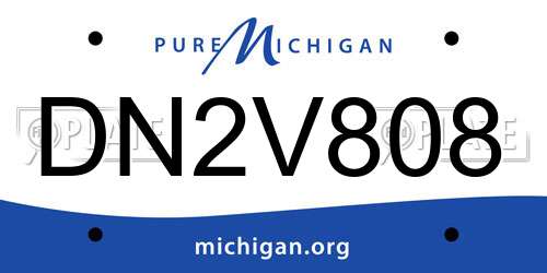 DN2V808 Michigan License Plate