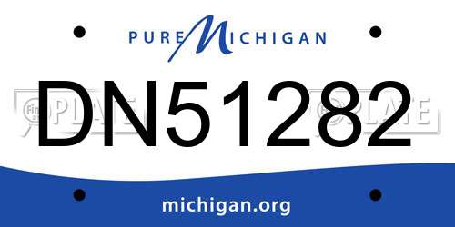 DN51282 Michigan License Plate