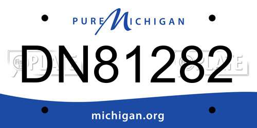 DN81282 Michigan License Plate