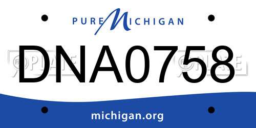DNA0758 Michigan License Plate