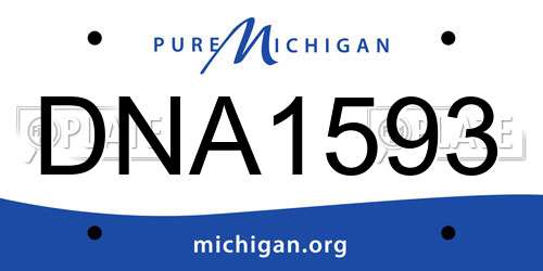 DNA1593 Michigan License Plate
