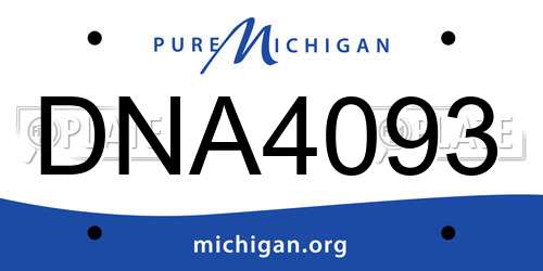 DNA4093 Michigan License Plate