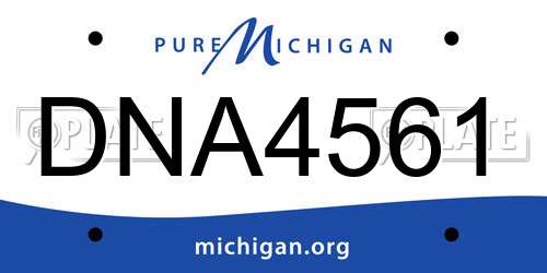 DNA4561 Michigan License Plate