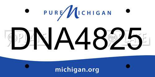 DNA4825 Michigan License Plate