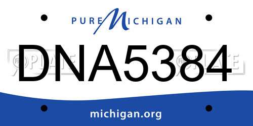DNA5384 Michigan License Plate