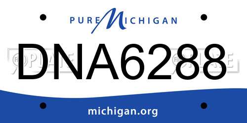 DNA6288 Michigan License Plate