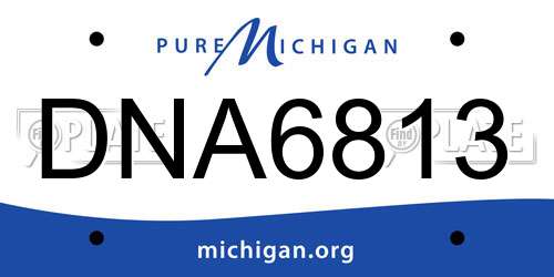 DNA6813 Michigan License Plate