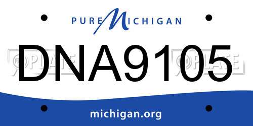 DNA9105 Michigan License Plate