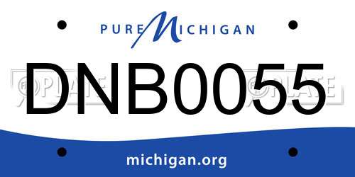 DNB0055 Michigan License Plate