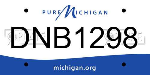 DNB1298 Michigan License Plate