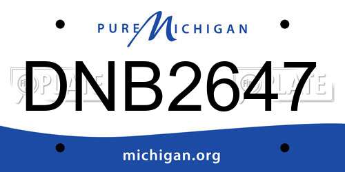 DNB2647 Michigan License Plate