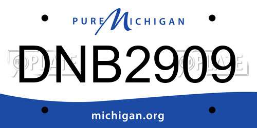 DNB2909 Michigan License Plate