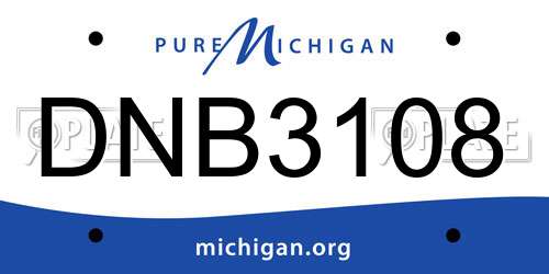 DNB3108 Michigan License Plate