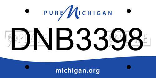 DNB3398 Michigan License Plate
