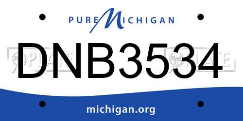 DNB3534 Michigan License Plate