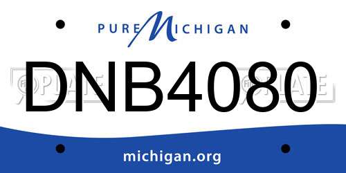 DNB4080 Michigan License Plate