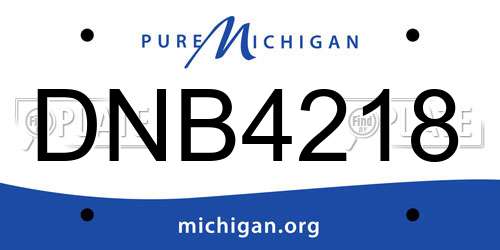 DNB4218 Michigan License Plate