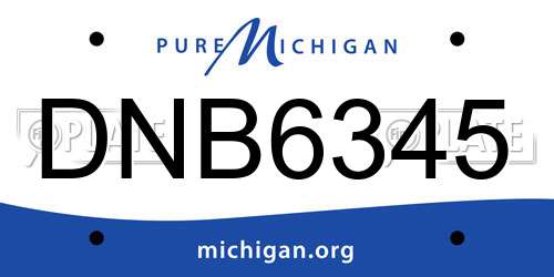 DNB6345 Michigan License Plate