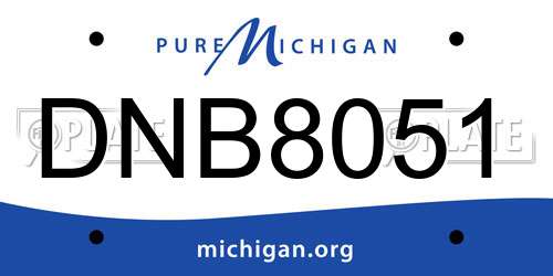 DNB8051 Michigan License Plate