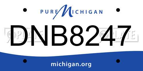 DNB8247 Michigan License Plate