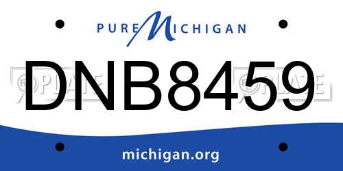 DNB8459 Michigan License Plate