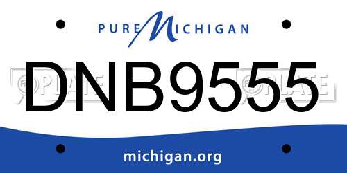 DNB9555 Michigan License Plate