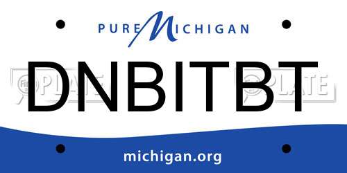 DNBITBT Michigan License Plate