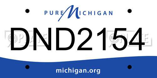 DND2154 Michigan License Plate